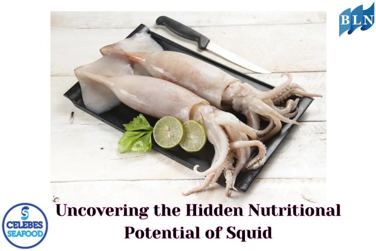 Uncovering the Hidden Nutritional Potential of Squid